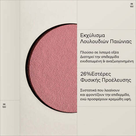 Korres Ρουζ Natural Fresh 03 Dusty Rose 4.5gr