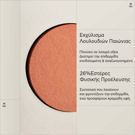 Korres Ρουζ Natural Fresh 04 Almond Bronze 4.5gr