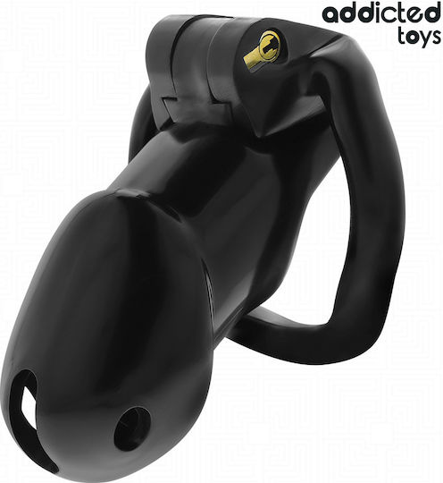 Addicted Toys Penis Cage in Black Color