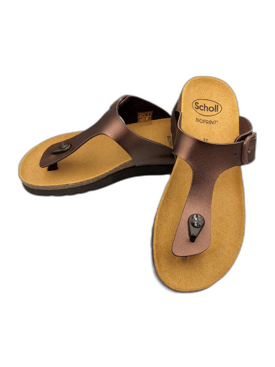 Scholl Scholl