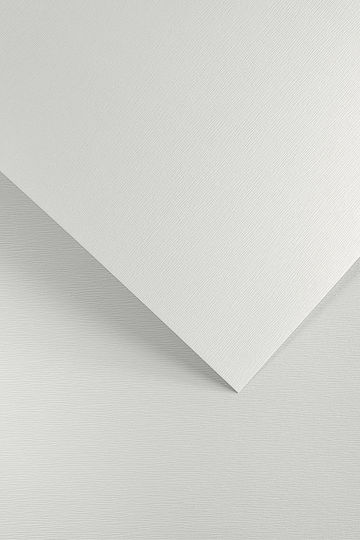 White Decorative Tree Bark Cardboard A4 20 Sheets