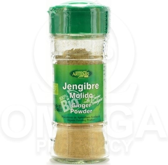 Artemis Ingwer Bio in Pulver 25gr