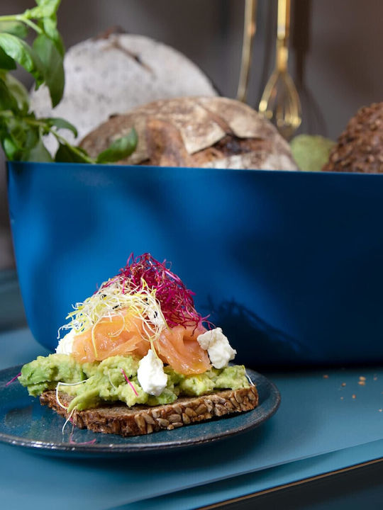 Dolce Mare Brotkasten mit Deckel Kunststoff Blau 38.1x25.4x15.2cm