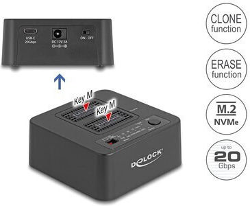 DeLock Docking Station for 2 Hard Drives PCIe (64300)