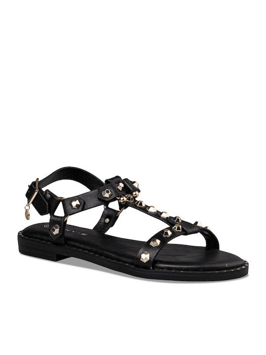 Envie Shoes