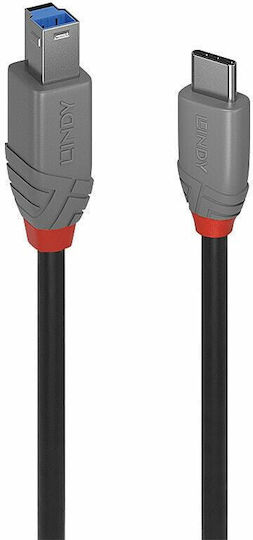Lindy Anthra Line Regular USB 2.0 Cablu USB-C bărbătesc - USB-B Negru 0.5m (36665)