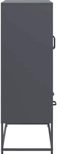 Bodenstehende Wohnzimmer Vitrine aus Metall in Anthrazit mit Glas 68x39x111,5 cm