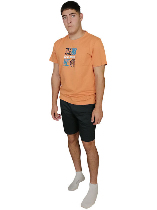 Vamp Orange