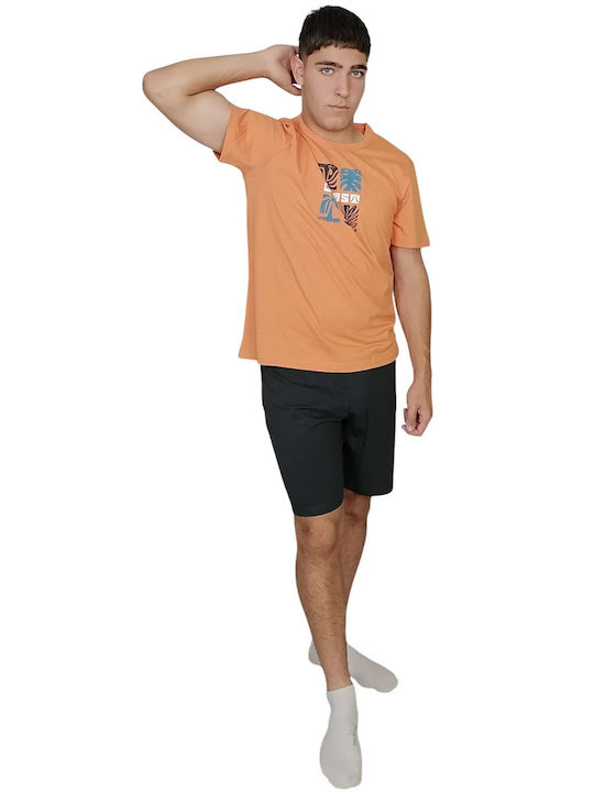 Vamp Orange
