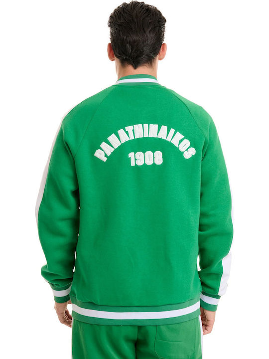Sweatshirt Grün