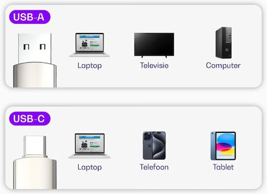 Buddi 256GB USB 3.1 Stick Γκρι