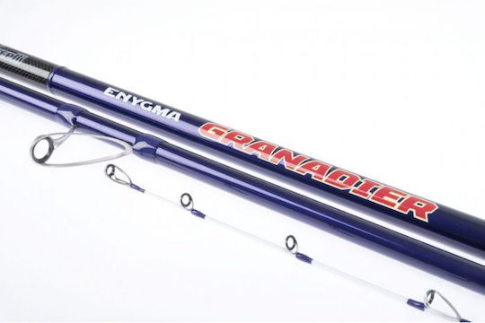 Vercelli Enygma Καλάμι Ψαρέματος για Casting / Surf Casting 4.2m 100-200gr