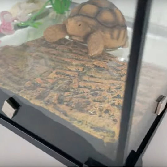 Floating Turtle Island with Magnet 15 x 11 x 3cm