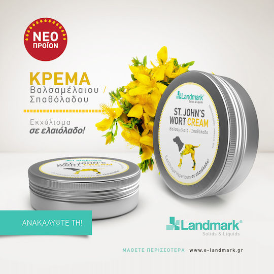 St John's Wort Cream Κρέμα Περιποίησης Βαλσαμέλαιο 90gr
