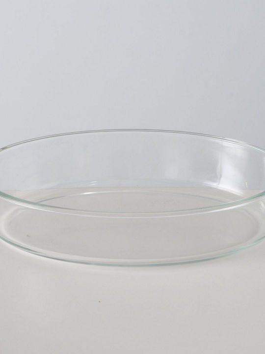 MSA Διακοσμητικό Μπωλ Γυάλινο Διάφανο 31x22x7cm