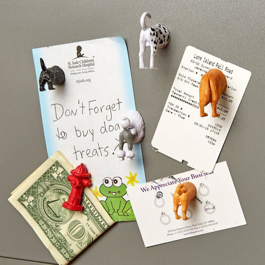 Kikkerland Set of Magnets 1pcs