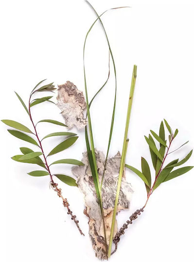 Hundebalsam Bondi Wash Paperbark Lemongrass 500 Ml