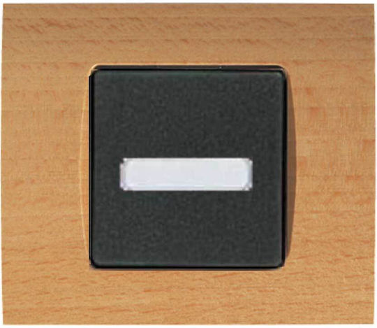 Arcada Holz Eiche Wandschalter Beschriftung + Licht 12v