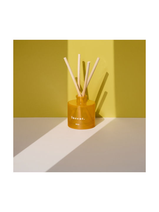 Sunshine & Cedar Diffuser 100ml Lucent Wxy