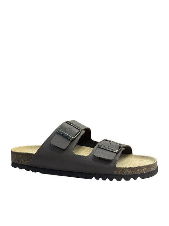 Scholl Scholl
