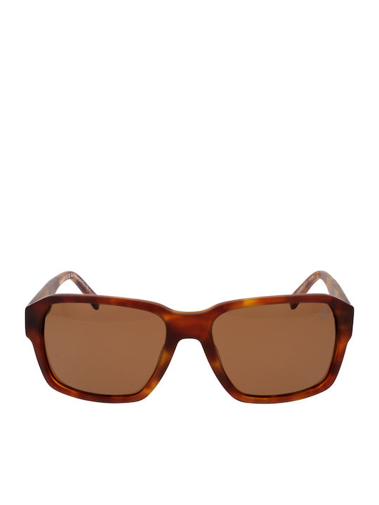 Timberland Sunglasses Brown with Acetate Frame & Brown Lens Timberland Sunglasses Brown with Acetate Frame & Brown Lens
