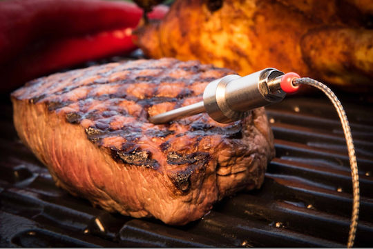 Blebox Ψηφιακό Θερμόμετρο BBQ με Ακίδα