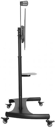 Gembird TVS-100T-02 Βάση Τηλεόρασης Δαπέδου έως 100"