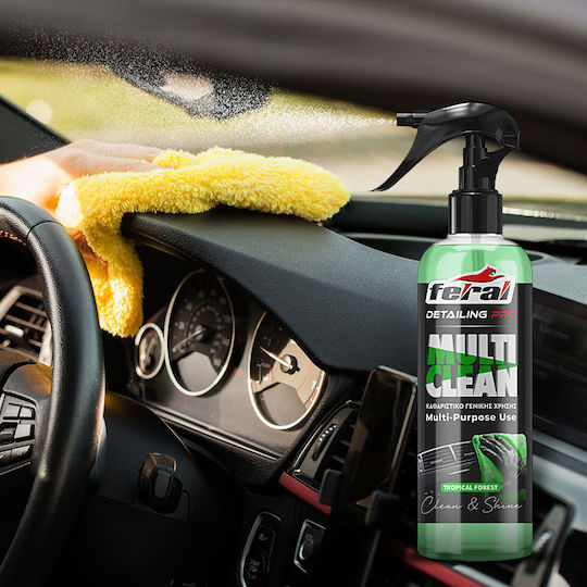 Feral Detailing Pro Σπρέι Καθαρισμού για Ταμπλό Αυτοκινήτου 750ml