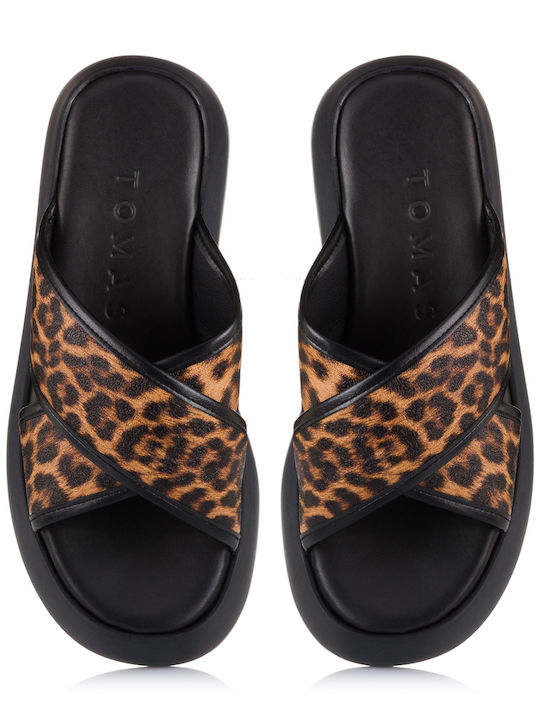 Tomas Shoes