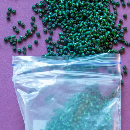 Verpackungstaschen Zipper Transparent 25x35cm Mit Loch 100 Stück