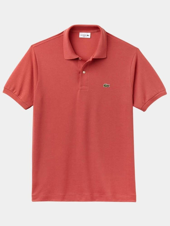 Polo T-shirt Rose