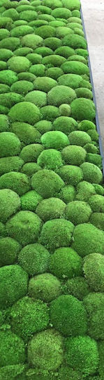 3D Wall Panel Green 100x80cm 322/80/1 3D Wall Panel Green 100x80cm 322/80/1