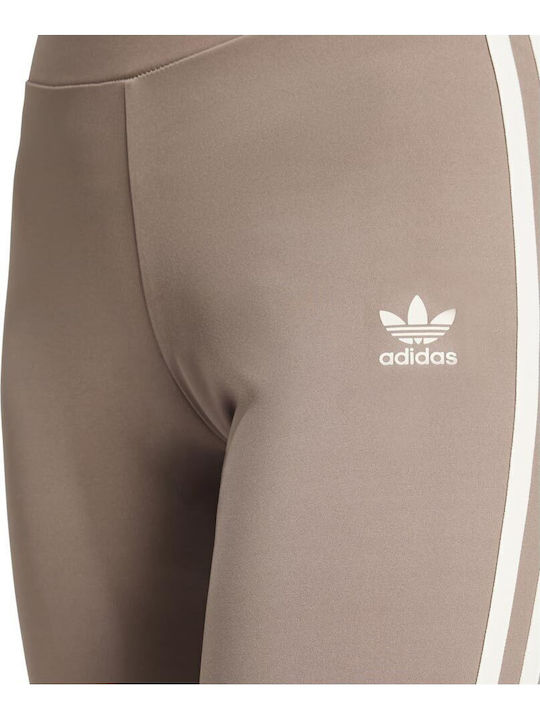 Training Damen Lang Leggings Braun