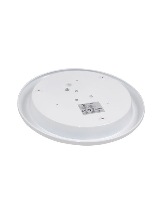 Maclean Energy Ceiling Mount Light 24cm with Integrated LED