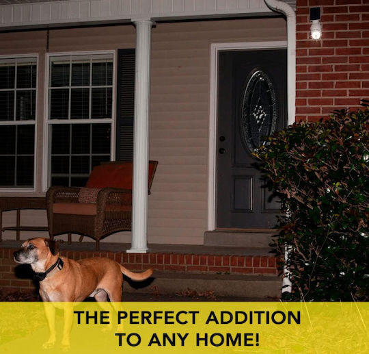 Solar Dummy Surveillance Camera with LED Lighting