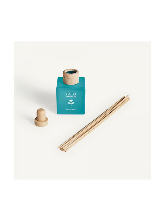 Vical Diffuser 29924