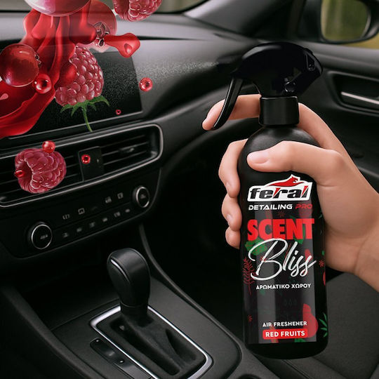 Auto Gs Αρωματικό Σπρέι Αυτοκινήτου Detailing Pro Red Fruits 500ml