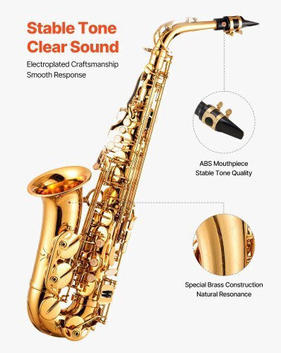 Vevor Alto Saxophone Eb Beginners Case Mouthpiece Wgskszyjedjsfjgju001v0