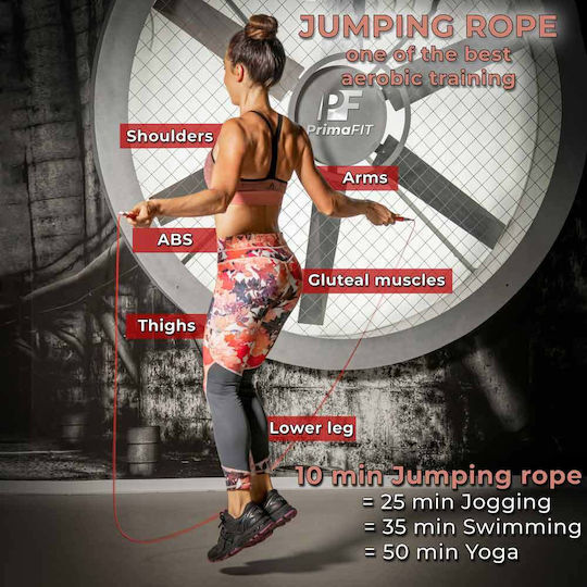 Primafit Speed Pro Jump Rope Professional 3m Adjustable 2 Bearings Extra Rope Weights 2 Protectors Aluminum Handles Carrying Bag Crossfit Boxing Mma Bronze