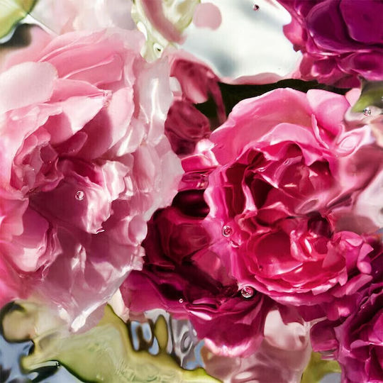 Guerlain Rosa Verde Ενυδατική Κρέμα Χεριών 50ml
