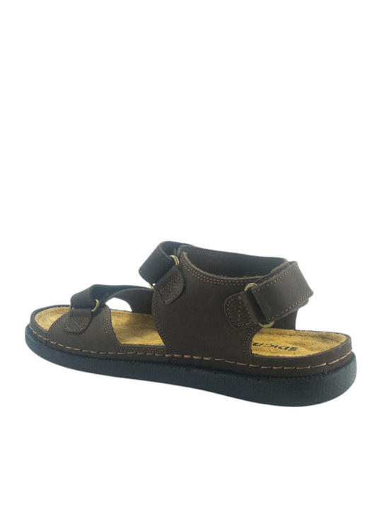 Women's Flat Sandals in Brown Color