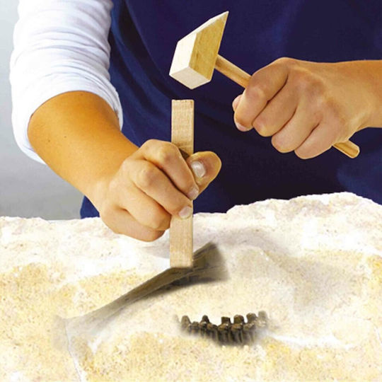 Ses Creative Lernspiel Dinosaurier-Ausgrabung für 5+ Jahre Jahre