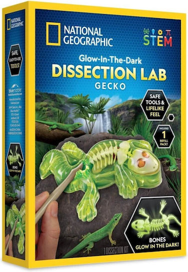 National Geographic Gecko Dissection Lab Labor