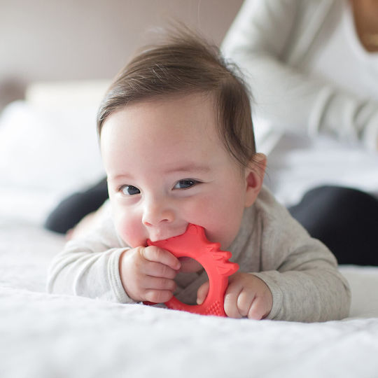 Dr. Brown's Fox Teething Ring made of Silicone for 3 m+