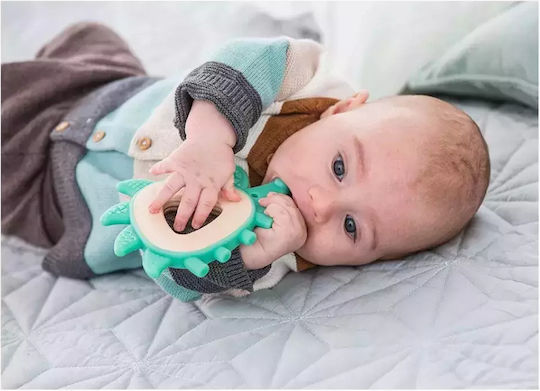 Hape Hedgehog Μασητικό Οδοντοφυΐας από Ξύλο για 0 m+