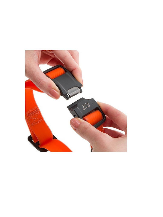 Dog Collar Magnetic Buckle Easy To Use Maximum Safety M