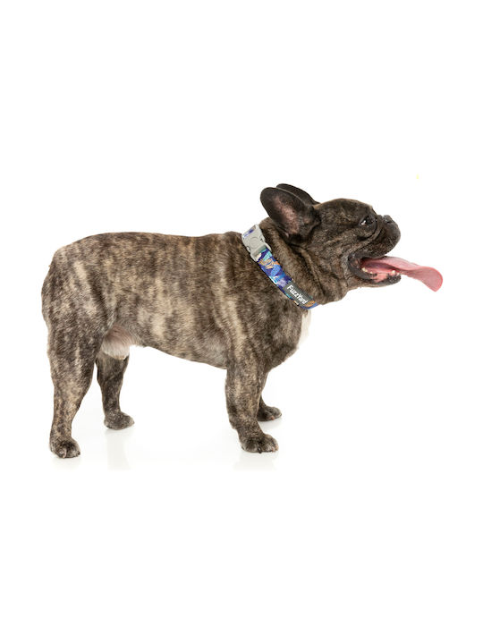 Fuzzyard Guler pentru Câini Mahalo Mare Circumferința Gâtului 50-65cm Fuzzyard Guler pentru Câini Mahalo Mare Circumferința Gâtului 50-65cm