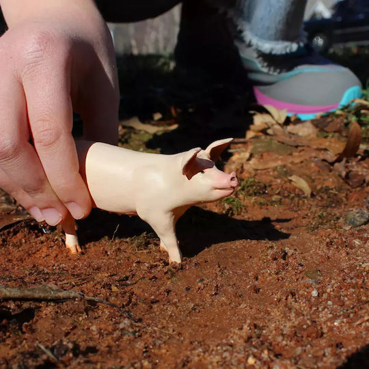 Μινιατούρες Safari Large White Pig Μεγάλο Λευκό Γουρούνι