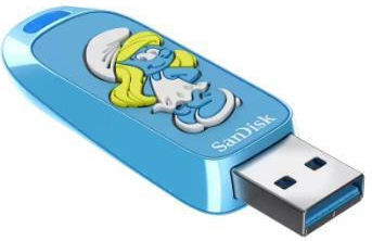 Sandisk 256GB USB 2.0 Stick
