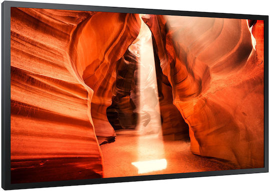 Samsung Signage Public Display LED VA Full HD 55"